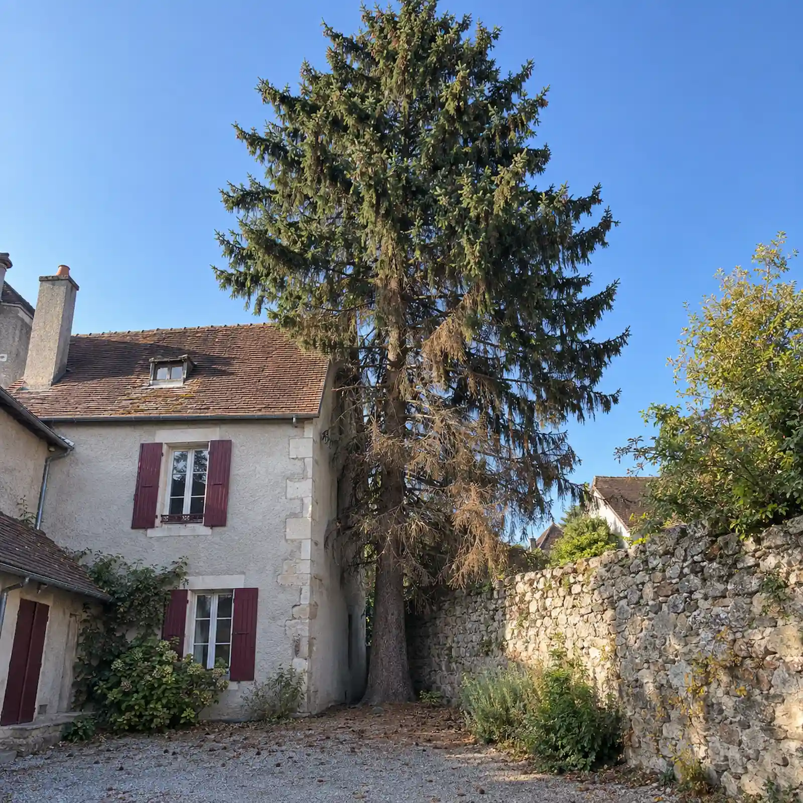 Arbre à abattre près d’une maison