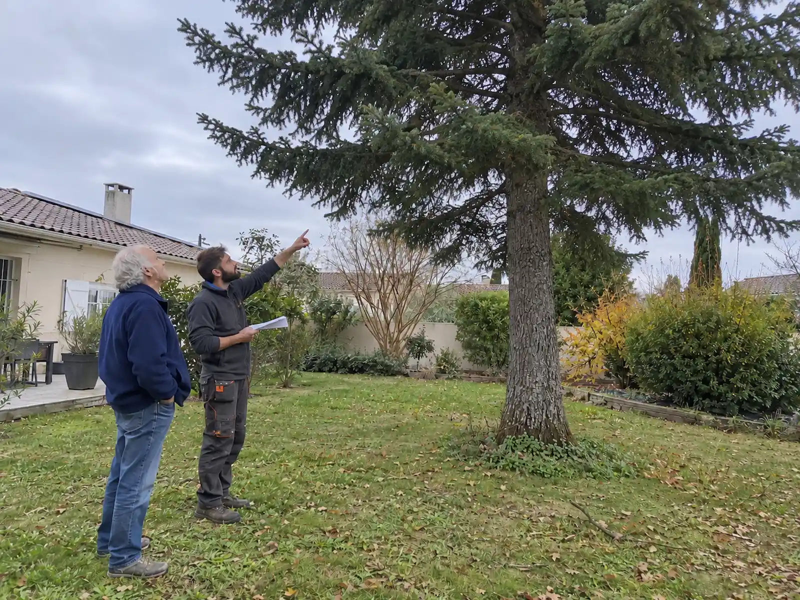 L’artisan montre un grand sapin au propriétaire dans son jardin
